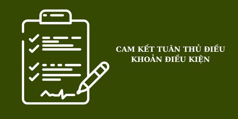 Cam kết tuân thủ điều khoản tại nhà cái trước khi bắt đầu cá cược