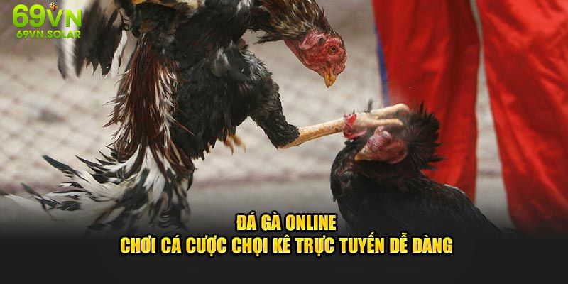 69vn.solar giới thiệu đá gà online