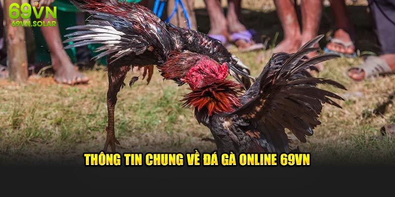 Thông tin chung về đá gà online 69vn